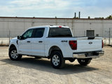 New 2025 Ford F150 XL w/ Equipment Group 104A Hybrid image 5
