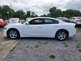 Used 2016 Dodge Charger SE image 3