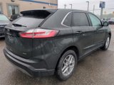 Certified 2022 Ford Edge SEL image 5