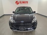 Used 2020 Ford Escape SE image 2