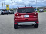Used 2019 Ford Escape SEL image 5