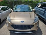 Used 2020 Ford Escape Titanium w/ Titanium Premium Package 2.0 image 2