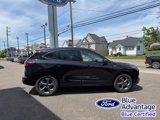 Certified 2024 Ford Escape ST-Line image 5