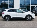 Used 2020 Ford Escape SE image 2