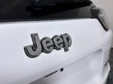 Used 2020 Jeep Cherokee Latitude Plus w/ Cold Weather Group image 5