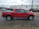 Used 2014 Ford F150 XLT w/ Equipment Group 302A Luxury image 4