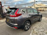 Used 2019 Honda CR-V LX image 6