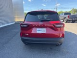 New 2025 Ford Escape ST-Line w/ Tech Pack #1 image 4
