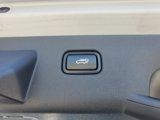Used 2023 Kia Sportage SX image 6