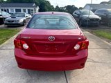 Used 2010 Toyota Corolla image 5