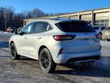 New 2025 Ford Escape ST-Line Elite w/ Premium Technology Package image 5