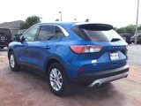 Used 2020 Ford Escape SE image 3