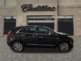 Used 2021 Cadillac XT5 Premium Luxury image 6