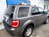 Used 2011 Ford Escape Limited image 5