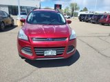 Used 2016 Ford Escape SE w/ Equipment Group 201A image 6