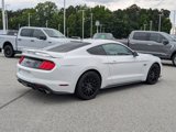 Certified 2019 Ford Mustang GT Premium w/ GT Performance Package image 3