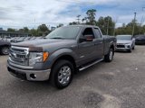 Used 2014 Ford F150 XLT w/ Equipment Group 302A Luxury image 2