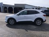Used 2022 Ford Escape SE image 6