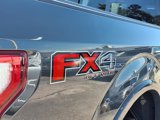 Used 2016 Ford F150 XLT w/ Equipment Group 302A Luxury image 5