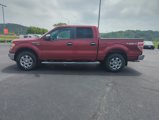 Used 2013 Ford F150 XLT w/ Luxury Equipment Group image 2