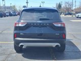 Used 2020 Ford Escape SEL image 5