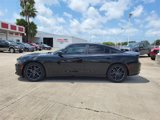 Used 2019 Dodge Charger SXT image 5
