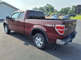 Used 2010 Ford F150 XLT image 3