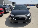 Used 2020 Ford EcoSport SE image 2