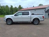 Used 2017 Ford F150 XLT w/ Equipment Group 302A Luxury image 3