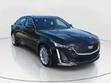 Used 2022 Cadillac CT5 Luxury w/ Sun And Sound Package image 3