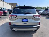 Used 2022 Ford Escape SE w/ Convenience Package image 6