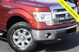 Used 2014 Ford F150 XLT w/ Equipment Group 302A Luxury image 4
