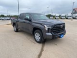 New 2025 Toyota Tundra SR image 5
