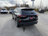 New 2025 Ford Escape ST-Line w/ Tech Pack #1 image 3