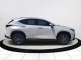 Certified 2024 Lexus NX 350 AWD w/ Premium Package image 3