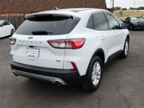 Used 2022 Ford Escape SE image 4