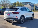 Used 2023 Ford Escape SE w/ PHEV Premium Package image 3