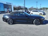 Certified 2022 Ford Mustang Premium image 2
