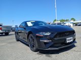 Used 2022 Ford Mustang Premium image 2