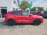 New 2024 Ford Escape ST-Line Elite w/ Premium Technology Package image 2