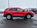 Used 2024 Ford Escape Active image 2