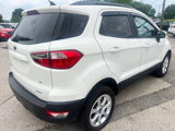 Used 2019 Ford EcoSport SE image 4