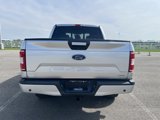 Used 2018 Ford F150 XLT w/ Equipment Group 302A Luxury image 6