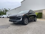 Used 2022 Ford Escape SEL w/ Equipment Group 302A image 4