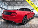 Used 2023 Ford Mustang Premium image 4