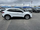 Used 2022 Ford Escape SE w/ Convenience Package image 4