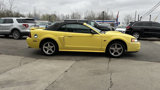 Used 2003 Ford Mustang GT Premium image 4