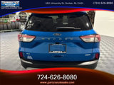 Used 2020 Ford Escape SE image 6