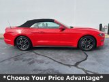 Used 2022 Ford Mustang Premium image 4