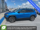 Used 2022 Jeep Cherokee Trailhawk w/ Sun, Sound & Nav Group image 4